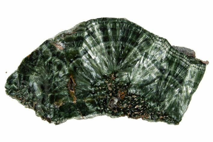 Polished Seraphinite Slab - Korshunovkiy Mine, Siberia #317747